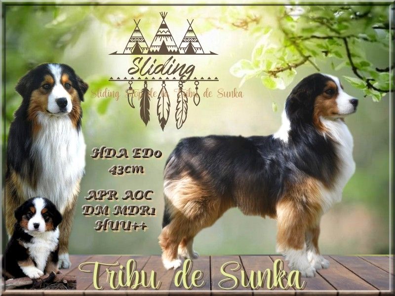 Sliding stop De La Tribu De Sunka