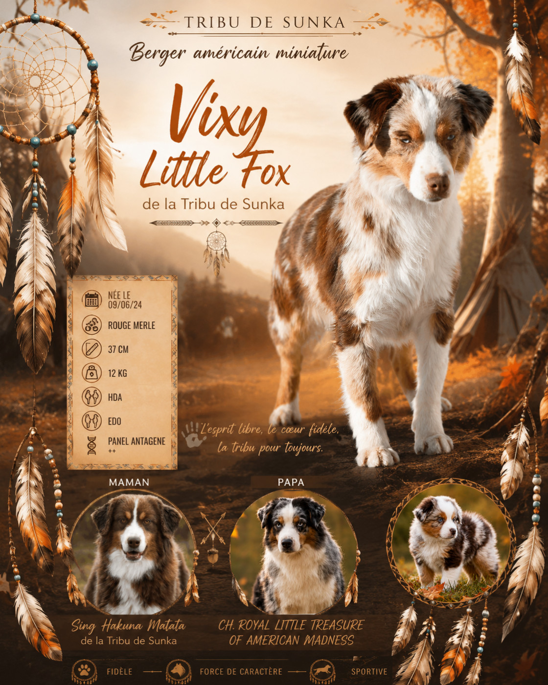 Vixy Little Fox De La Tribu De Sunka